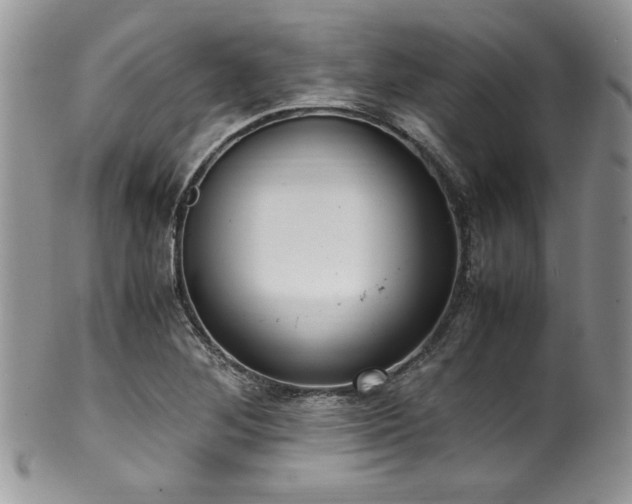 X0000100341268200806051529
