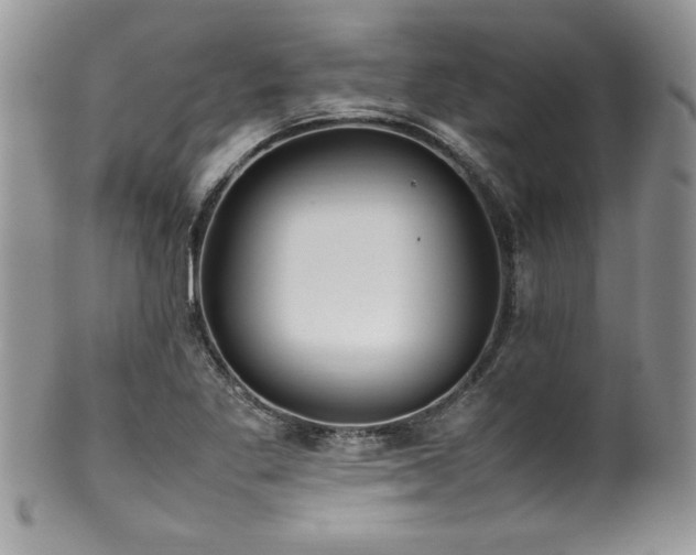 X0000100341269200806051529