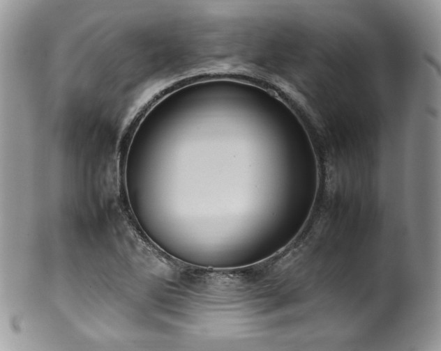 X0000100341270200806051529