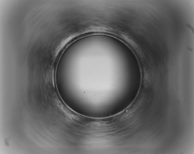 X0000100341272200806051529