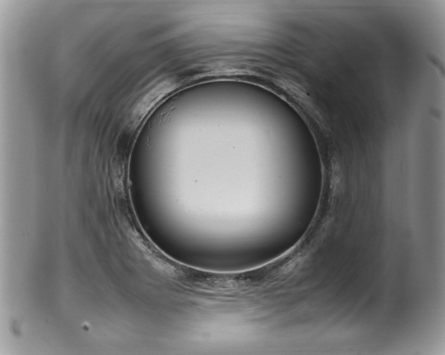 X0000100341273200806051529