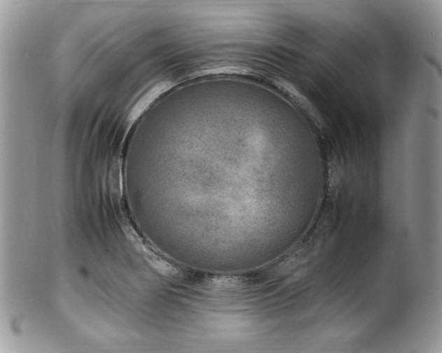 X0000100341274200806051529