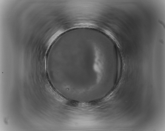 X0000100341275200806051529