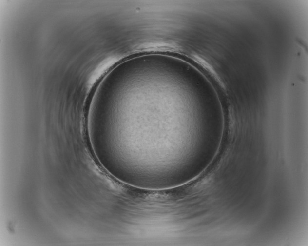 X0000100341277200806051529
