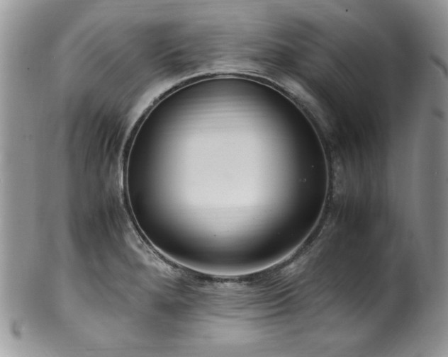 X0000100341280200806051529