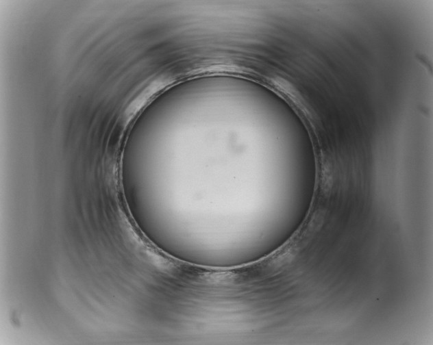 X0000100341282200806051529