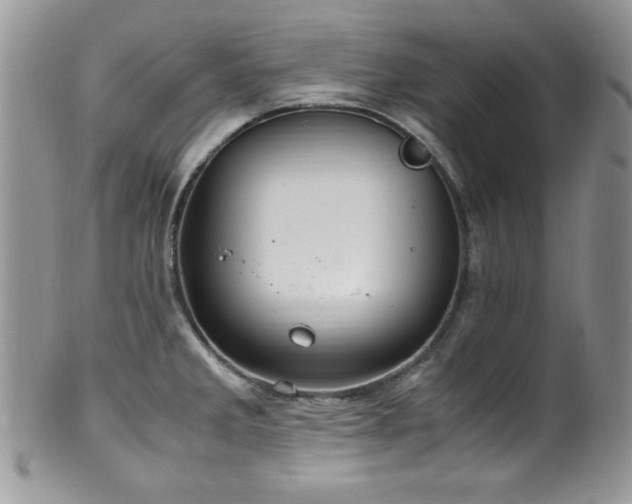 X0000100341285200806051529