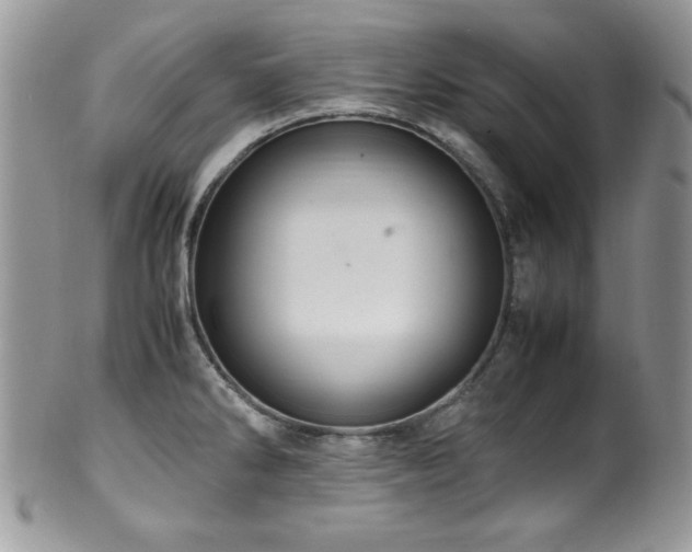 X0000100341286200806051529
