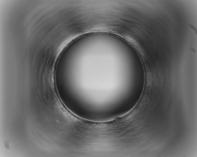 X0000100341288200806051529