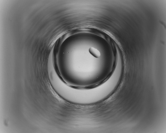 X0000100341289200806051529