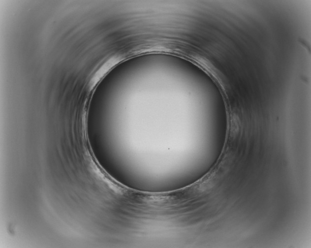 X0000100341290200806051529