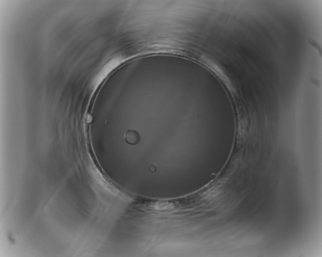 X0000100341291200806051529