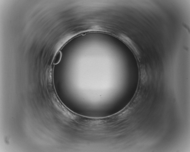 X0000100341292200806051529