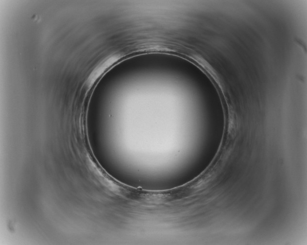 X0000100341293200806051529