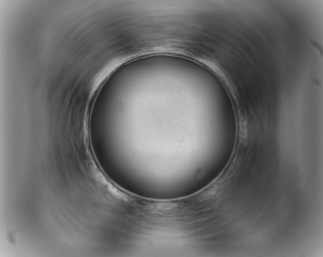 X0000100341294200806051529