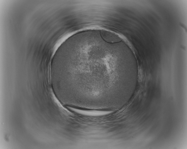 X0000100341295200806051529