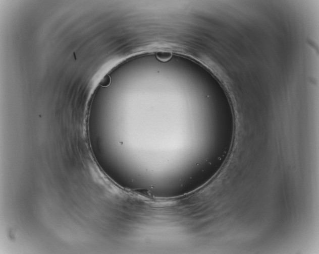 X0000100341296200806051529