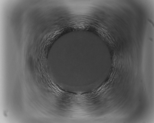 X0000100341297200806051528