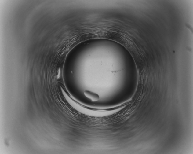 X0000100341298200806051528