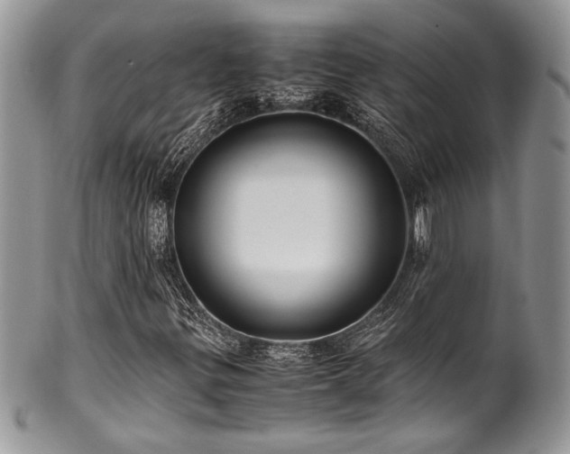X0000100341299200806051528