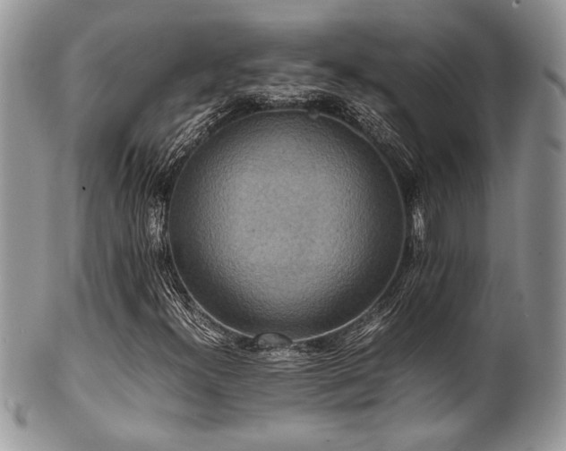 X0000100341300200806051528