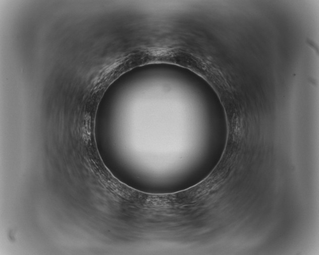 X0000100341301200806051528