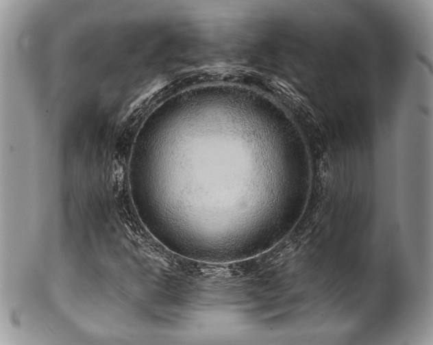 X0000100341302200806051528