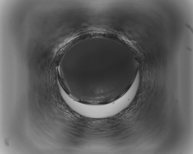 X0000100341303200806051528