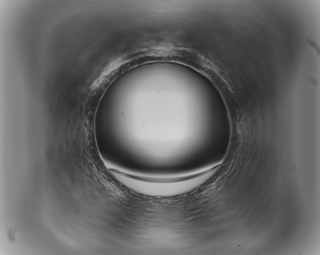 X0000100341304200806051528