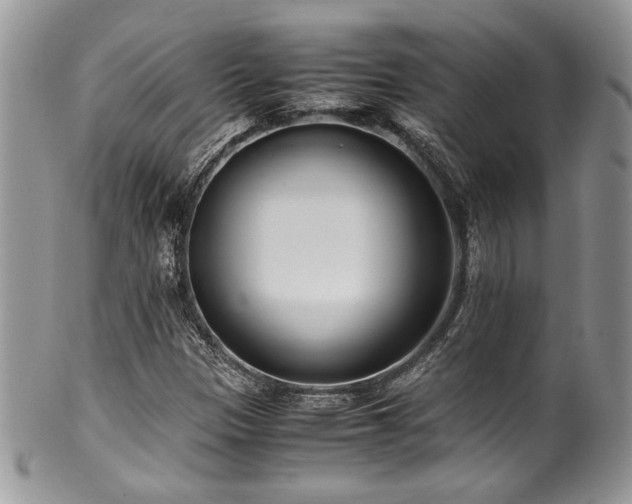 X0000100341305200806051528