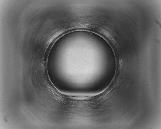 X0000100341308200806051528