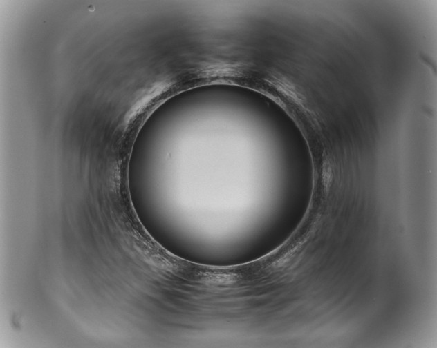X0000100341309200806051528