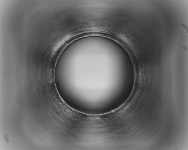 X0000100341310200806051528