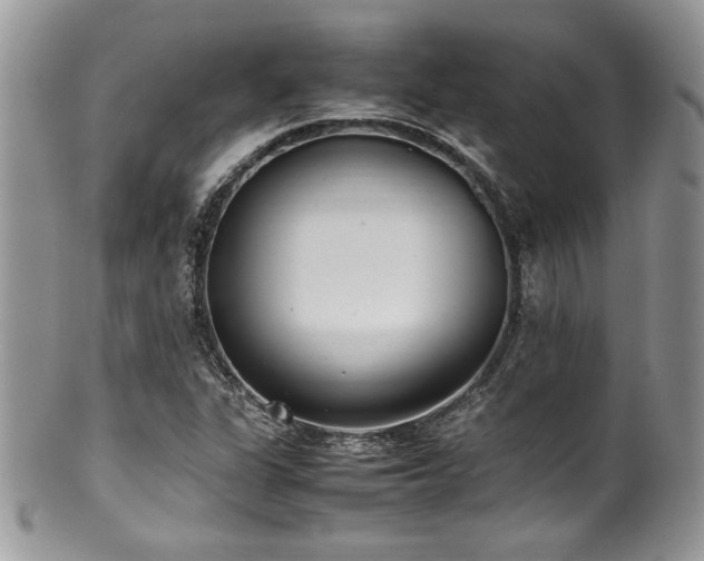 X0000100341311200806051528