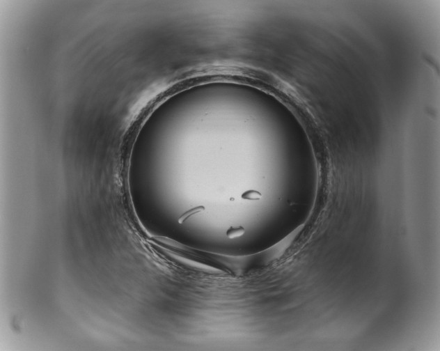 X0000100341312200806051528