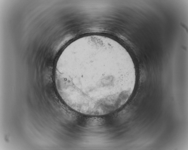 X0000100341314200806051528