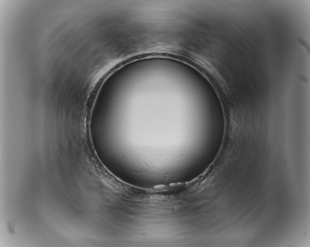 X0000100341316200806051529