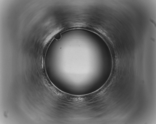 X0000100341317200806051529