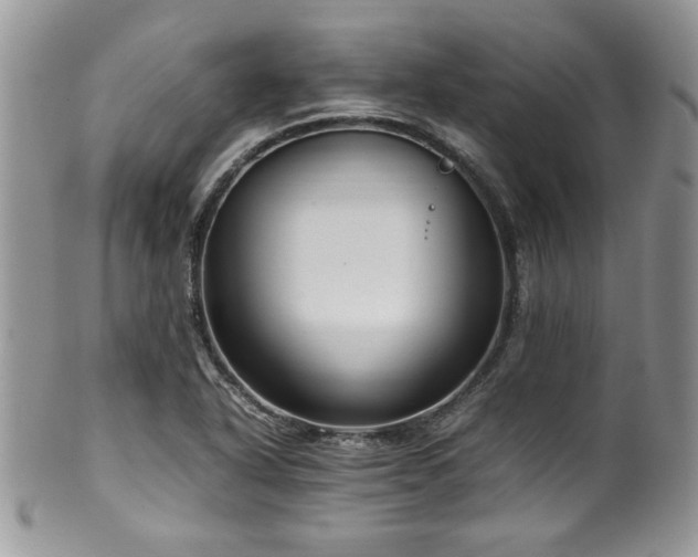 X0000100341318200806051529