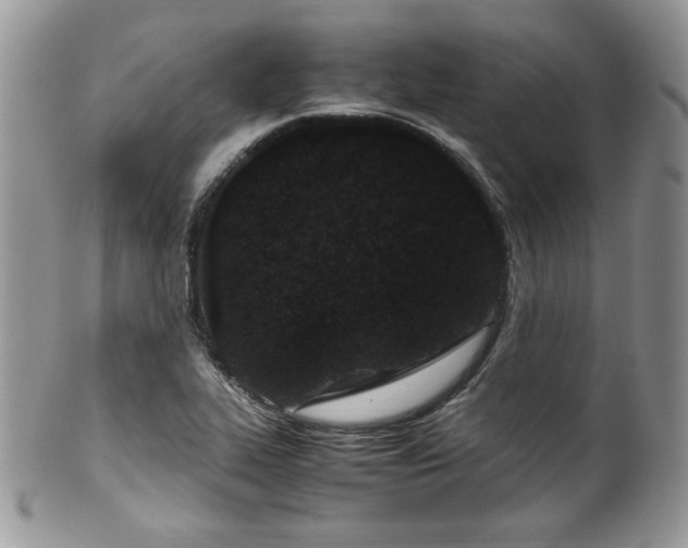 X0000100341319200806051529