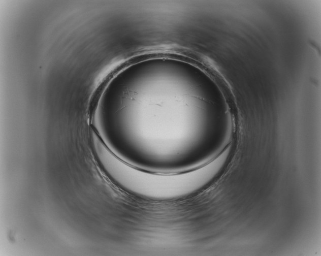 X0000100341320200806051529