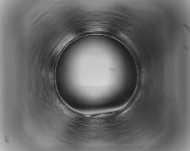X0000100341321200806051529
