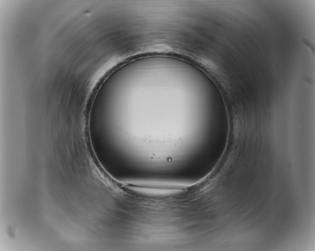 X0000100341326200806051529