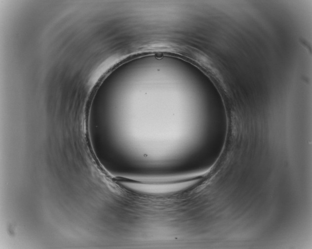 X0000100341328200806051529