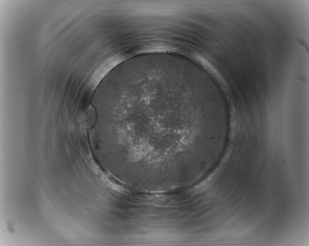 X0000100341329200806051529