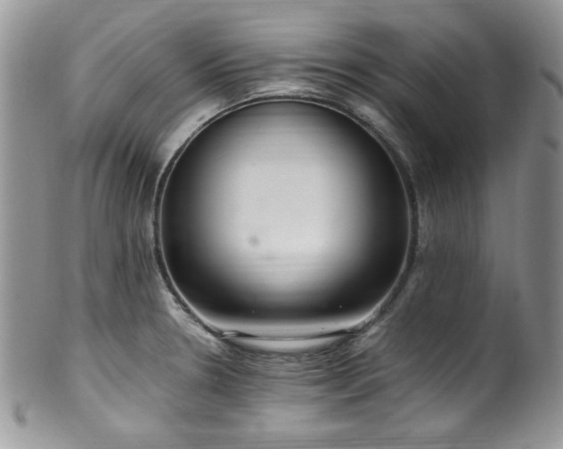 X0000100341330200806051529
