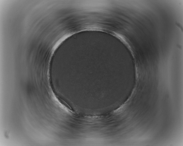 X0000100341331200806051529