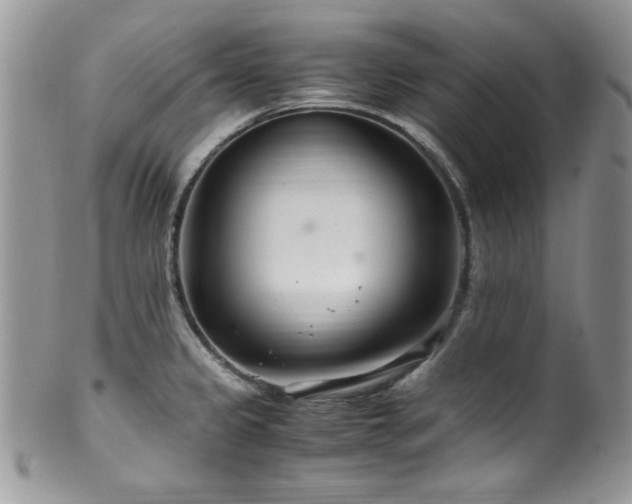 X0000100341333200806051529