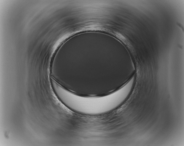 X0000100341334200806051529