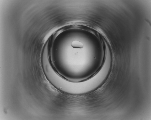 X0000100341336200806051529